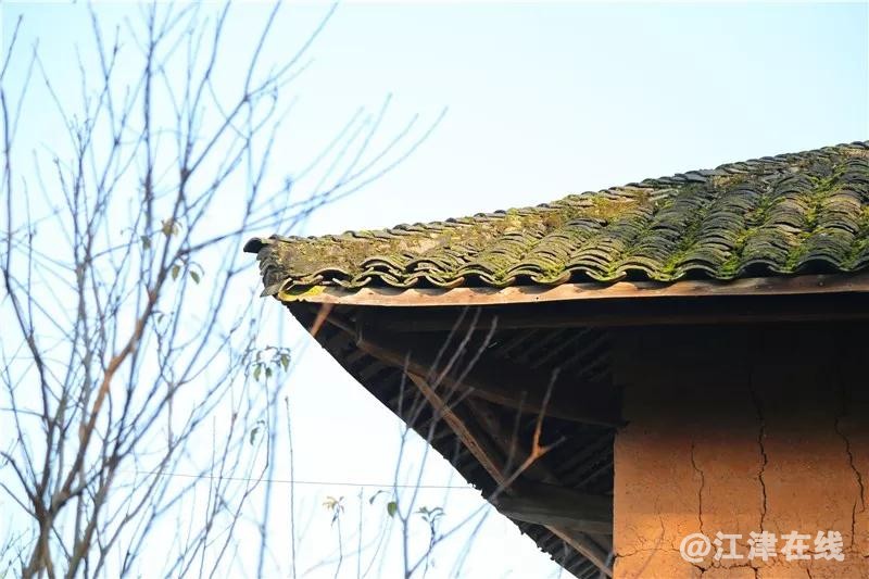 微信图片_20190108190526.jpg