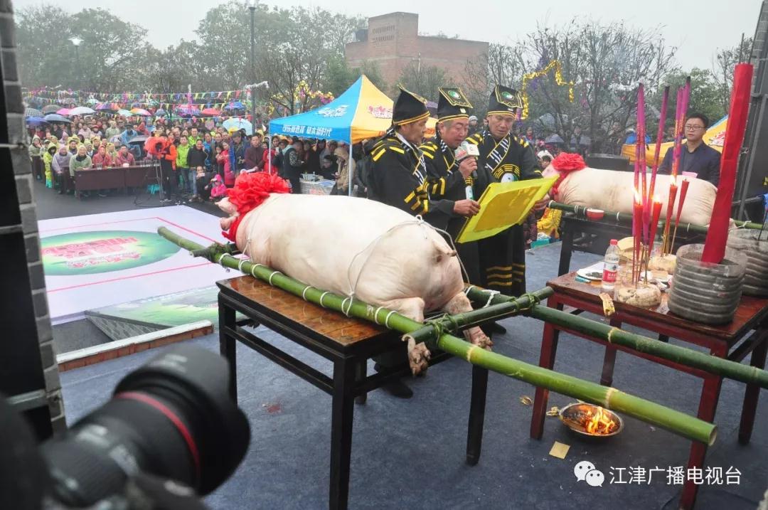 微信图片_20190110181133.jpg