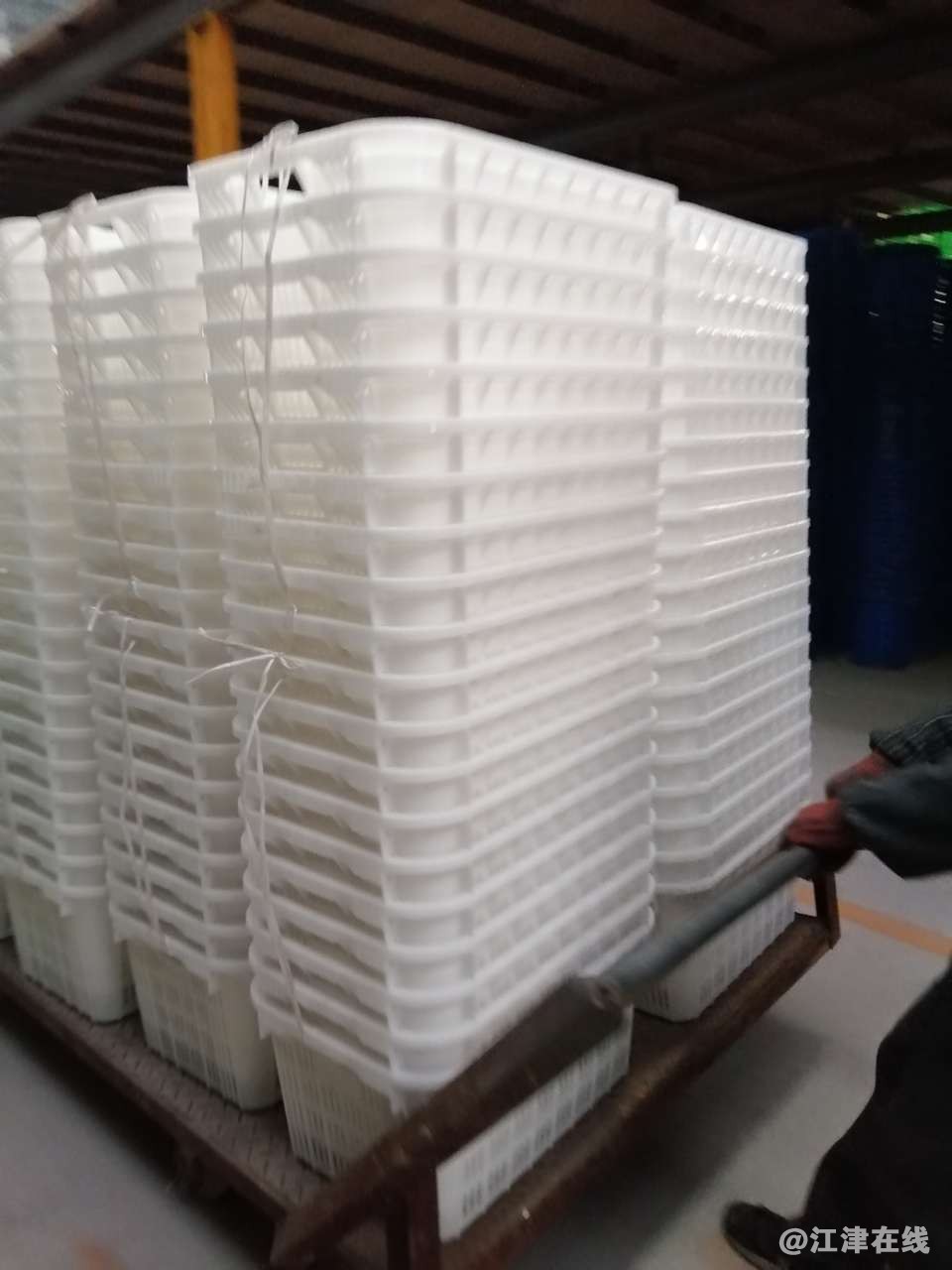 20190112_328831_1547252033493.jpg