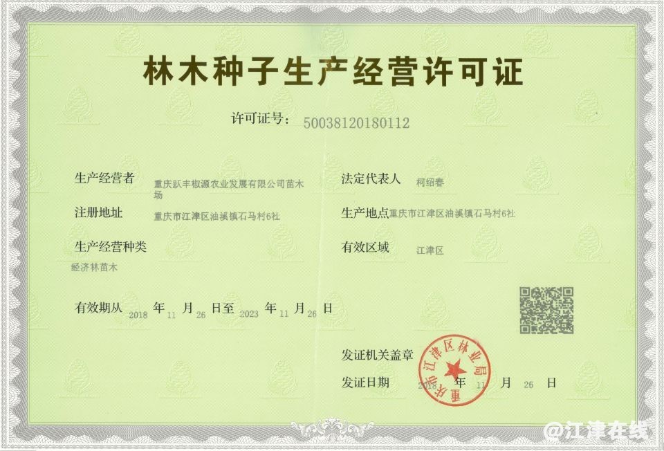 195941tn8w0gapnne5nh80.jpg