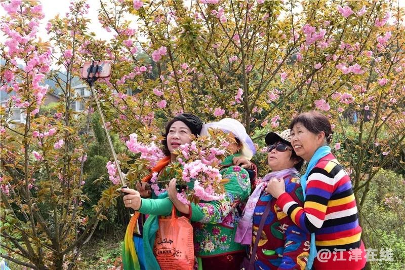 微信图片_20190130203325.jpg