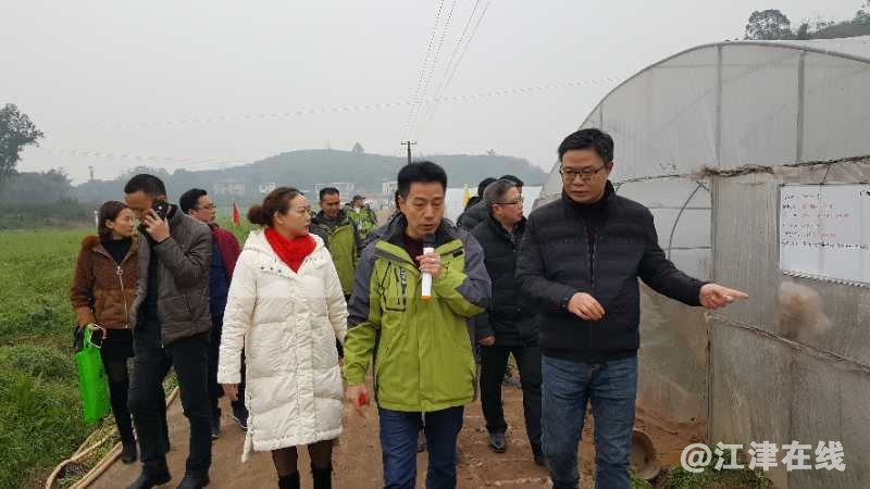 QQ图片20190115192754_看图王.jpg