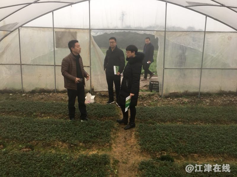 QQ图片20190202142353_看图王.jpg