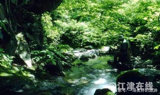 u=454172520,2597413050&amp;fm=175&amp;app=25&amp;f=JPEG.jpg