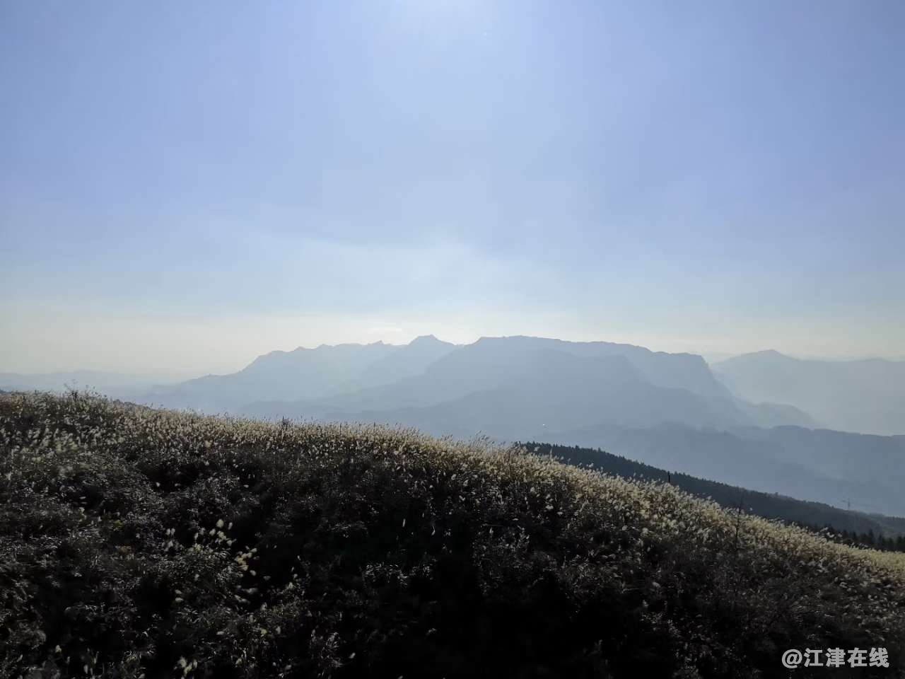 20190224_157294_1550971450986.jpg