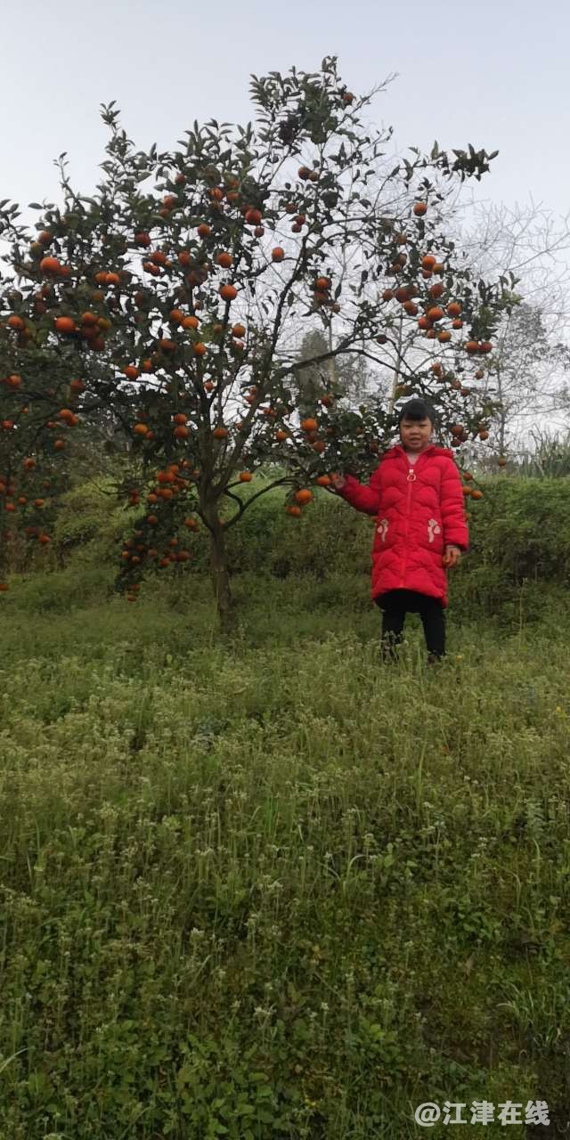 20190228_334780_1551367473778.jpg