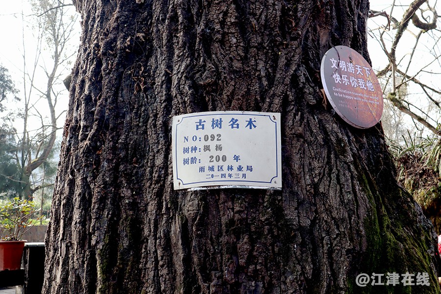 上里古镇 (22).jpg
