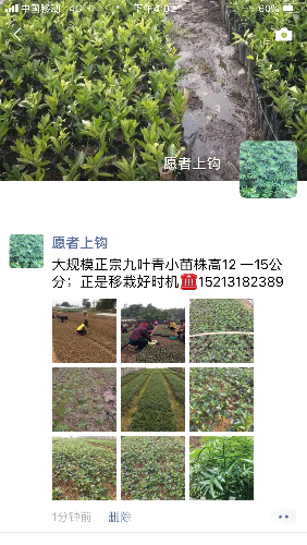 39D6B8C3-2E12-4C28-BBD5-EA123335CC58.png
