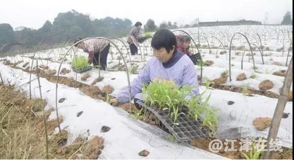 微信图片_20190306200259.jpg