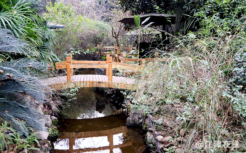 嘉定坊 (7).jpg