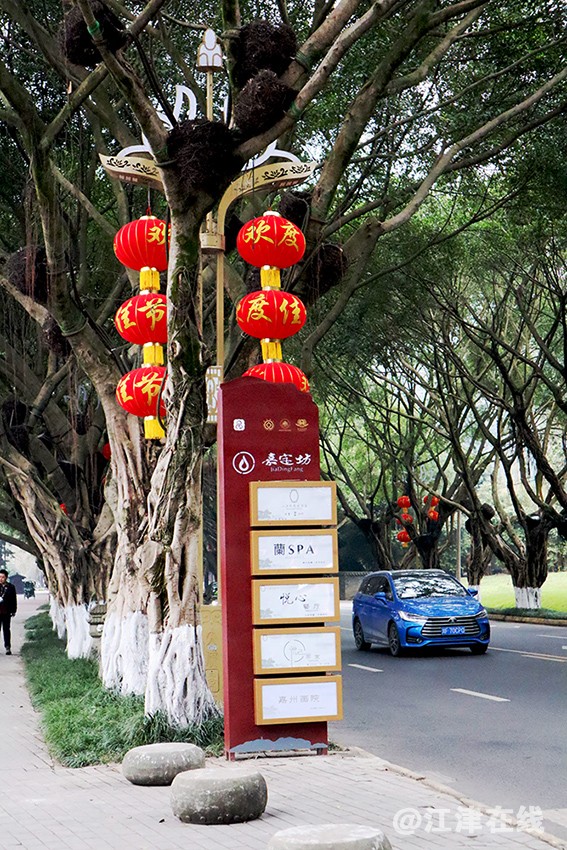 嘉定坊 (14).jpg
