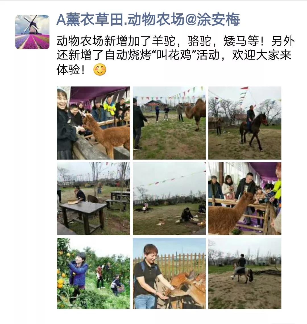 微信图片_20190308101115.jpg