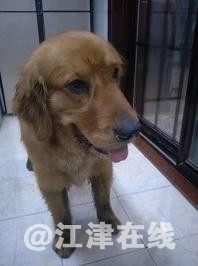 微信截图_20190315101049.jpg