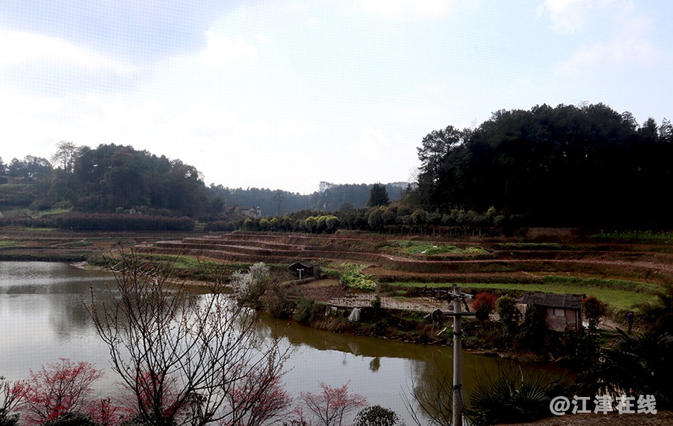 鸿缘山庄 (6).jpg