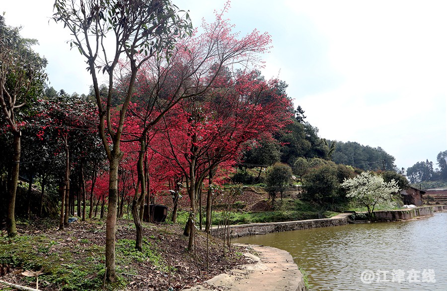 鸿缘山庄 (12).jpg
