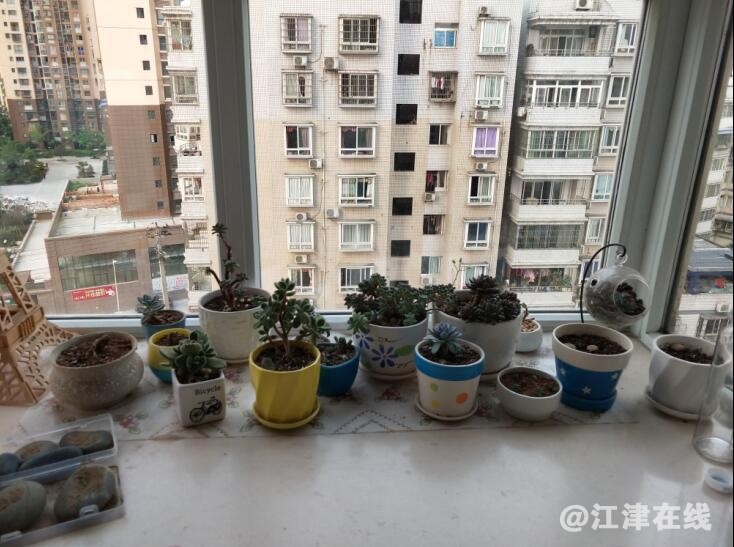 房间飘窗