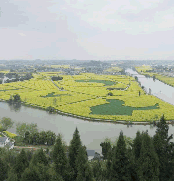 微信图片_20190323092231.gif