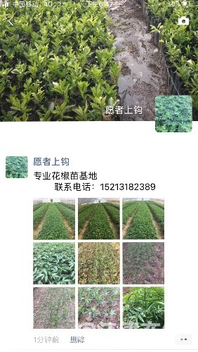 4EFDF796-F0EB-4D0F-B157-DDA483E038D8.jpeg
