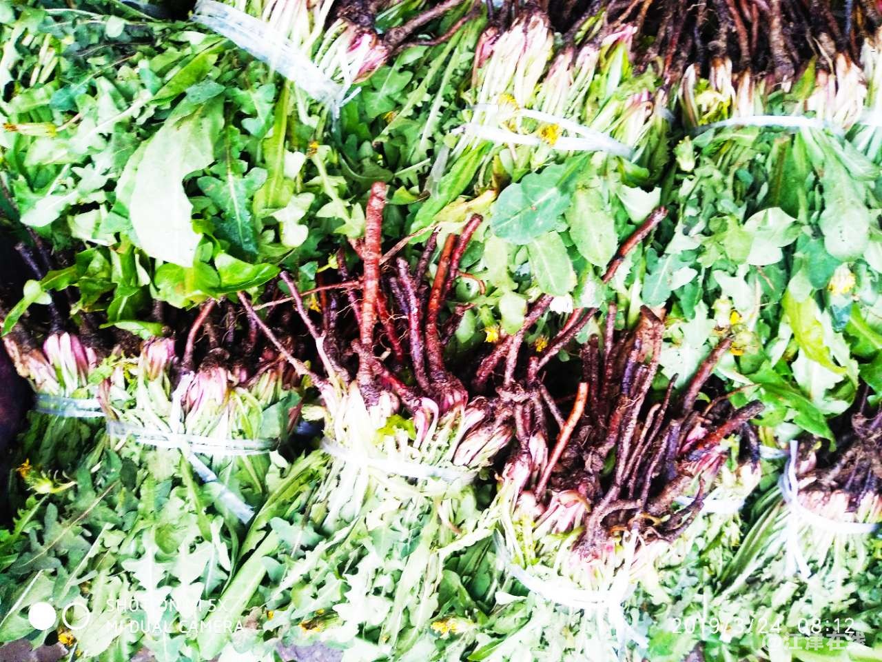 20190324_65865_1553388890246.jpg