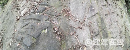 IMG_20190327_162730.jpg