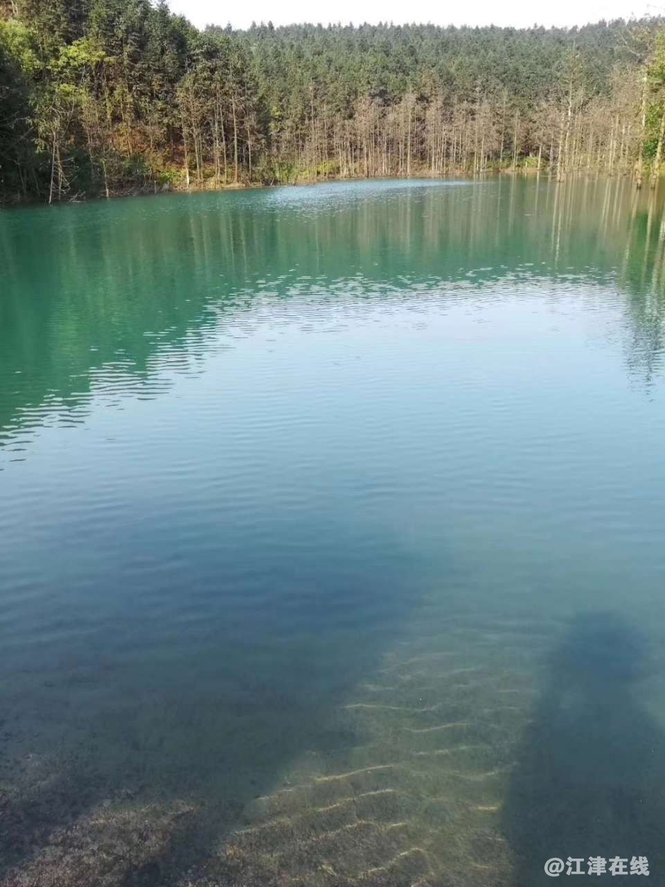 20190407_157294_1554624155424.jpg