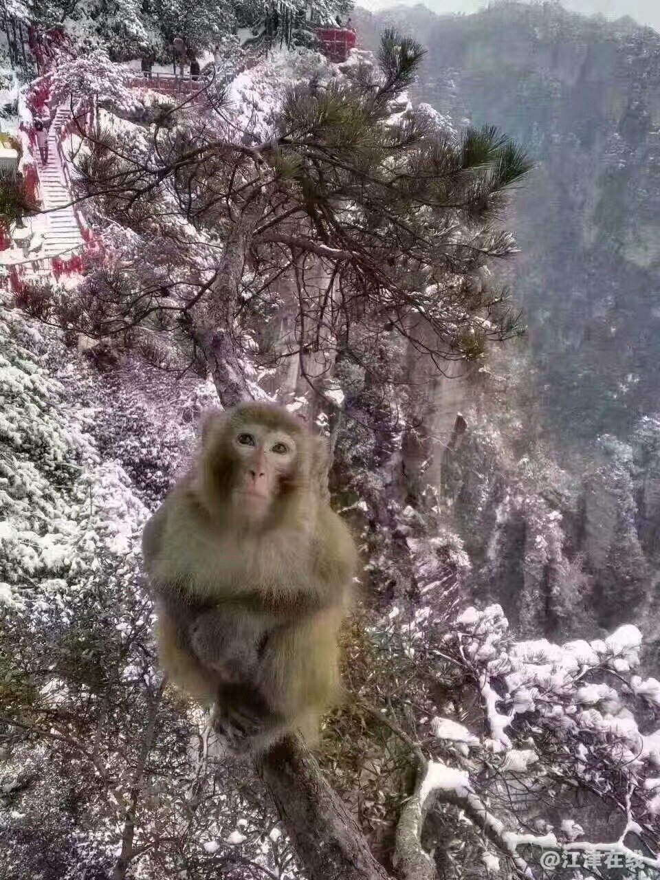 QQ图片20190319131822.jpg