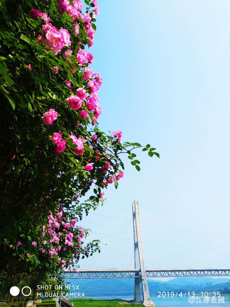 20190414_65865_1555198776536.jpg