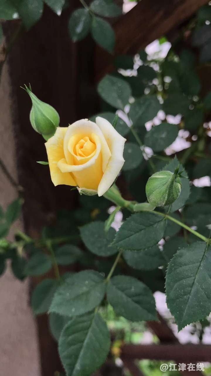 20190414_344383_1555240241815.jpg