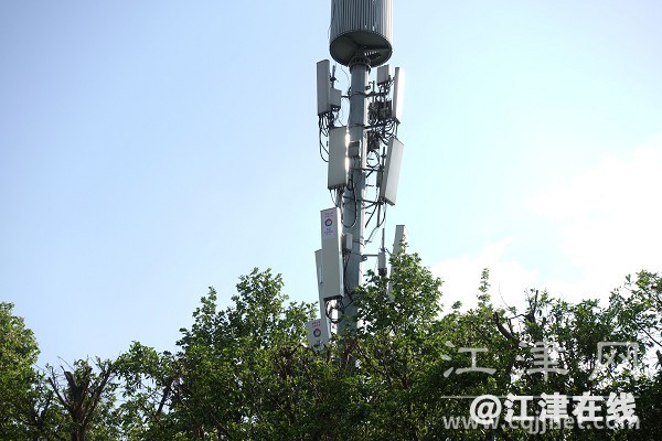ce78c022-4bdf-456d-885d-9db13b64c571.jpg