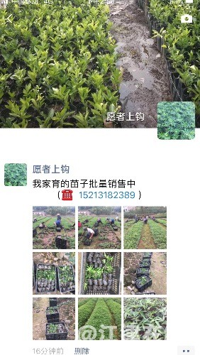 4EE9DB44-9A55-409B-8614-01EA7E46ADE2.jpeg