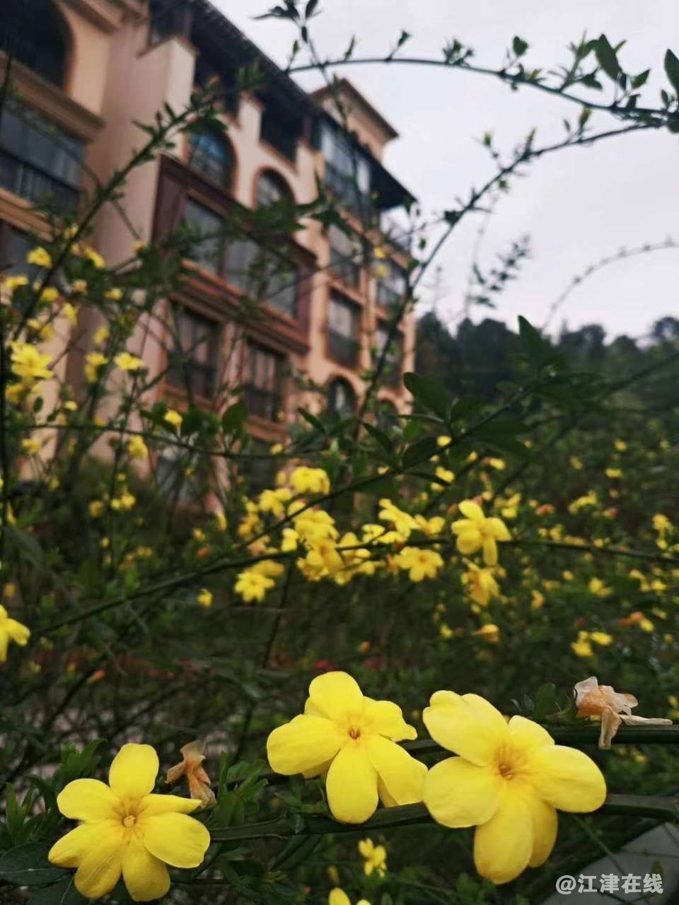 20190427_107627_1556328646748.jpg