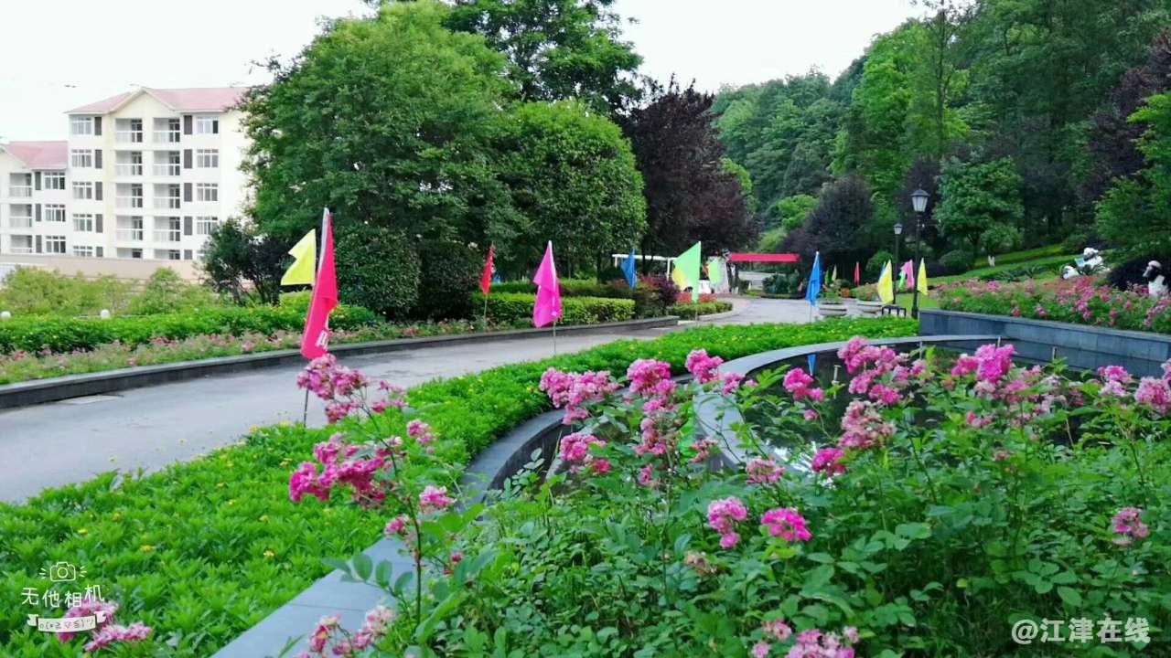 20190427_107627_1556328647024.jpg