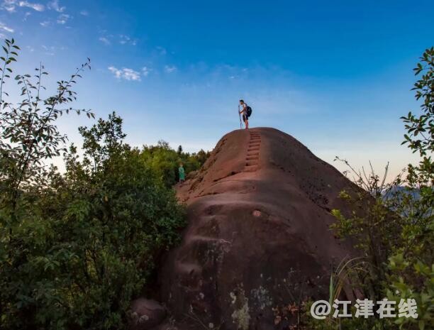 QQ截图20190505213152.jpg