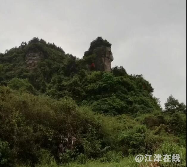 狮子尾巴.jpg