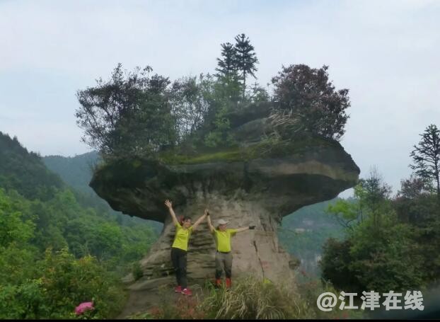QQ截图20190507112516.jpg