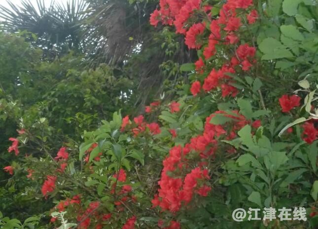 QQ截图20190507113701.jpg