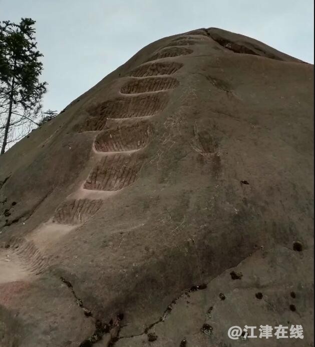QQ截图20190507124608.jpg