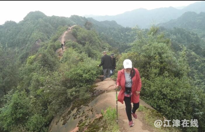 QQ截图20190507124858.jpg