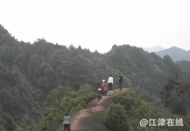 QQ截图20190507124847.jpg