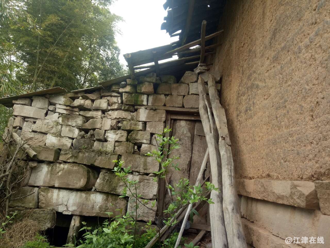 20190510_344257_1557462533857.jpg