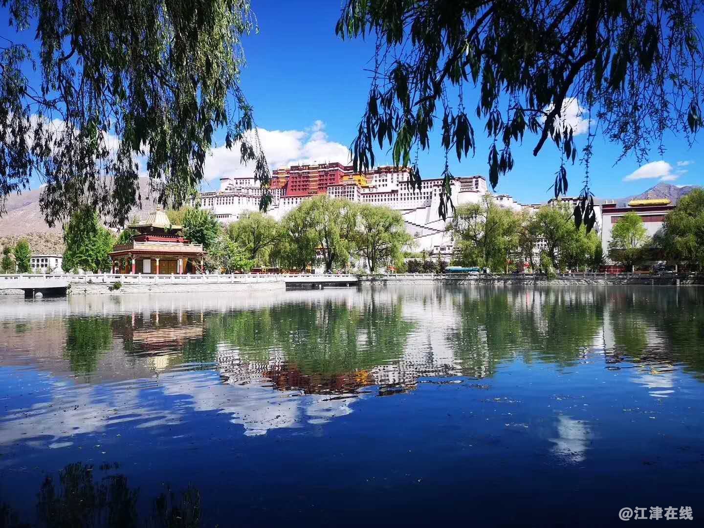 微信图片_20190511104504.jpg