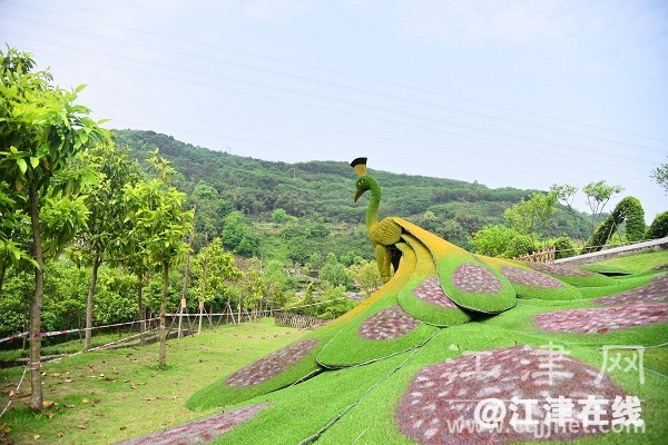 b4df6b9a-00c4-4769-a9cd-e0f4db6a1375.jpg