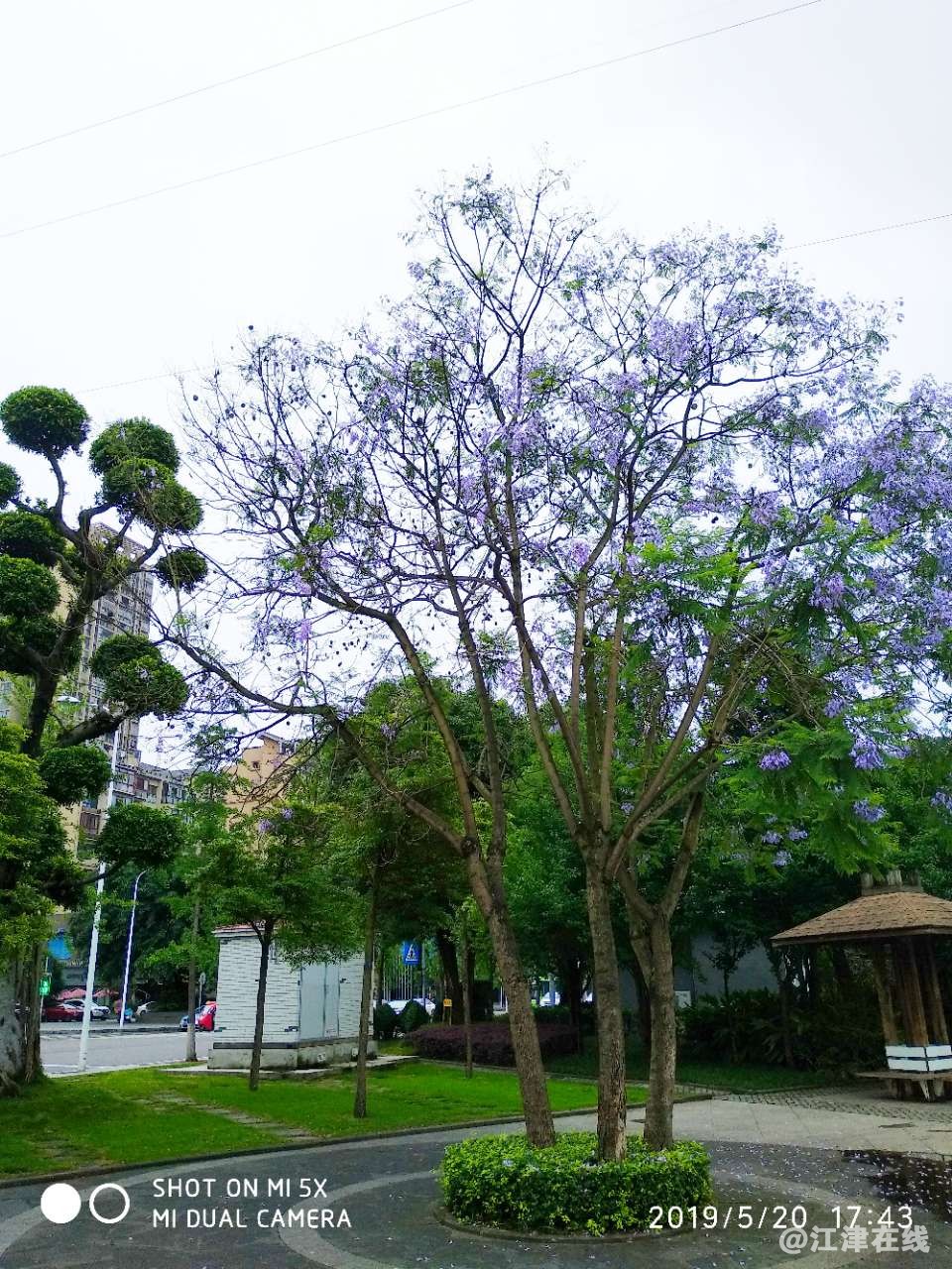 20190520_65865_1558347353978.jpg