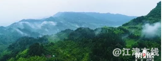4D3024B0-E399-4884-8953-358DB22751A5.png