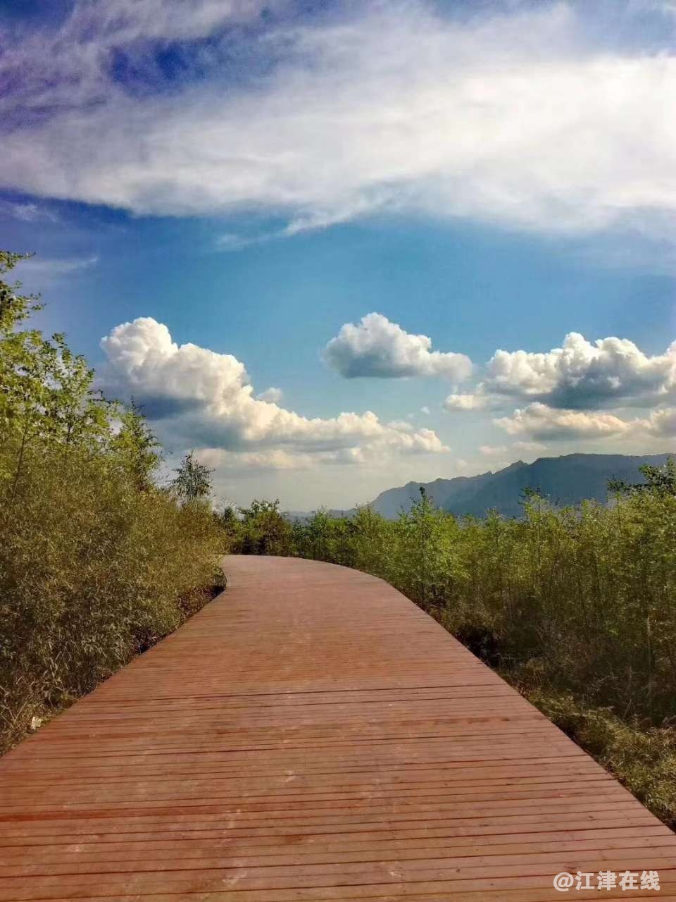 20190526_107627_1558836555184.jpg