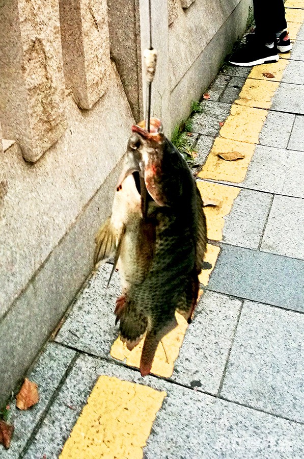 宝安老城区 (12).jpg