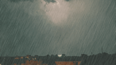 160133nzpzx8jyfzyymgjz.jpg
