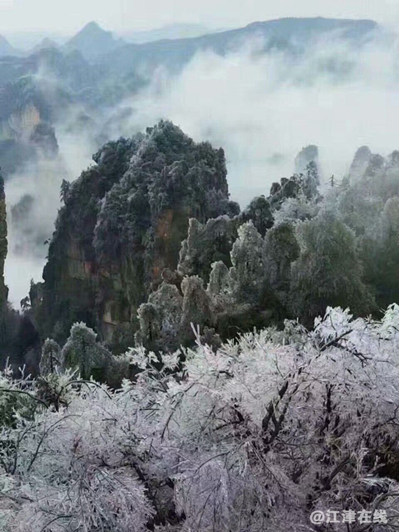 QQ图片20190319131731_副本.jpg