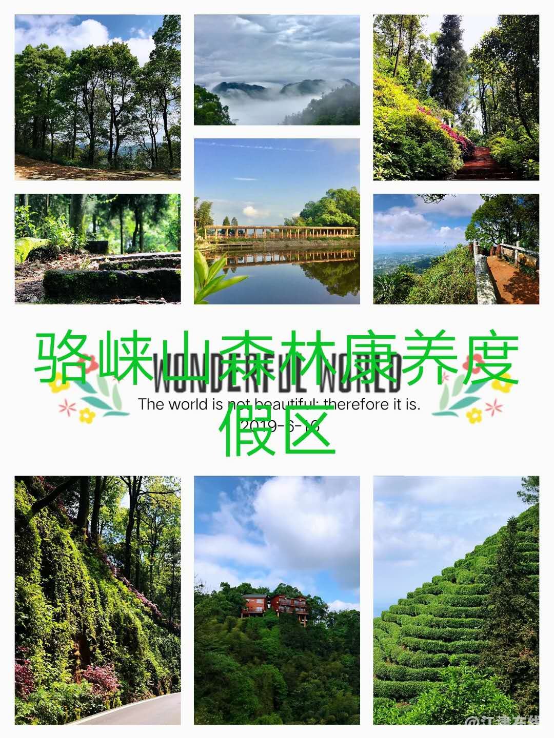 微信图片_20190621120149.jpg