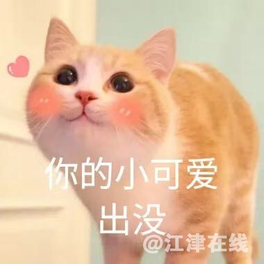 28F7C4C4-3B37-4C41-A7AA-F9E1C03C860A.jpeg